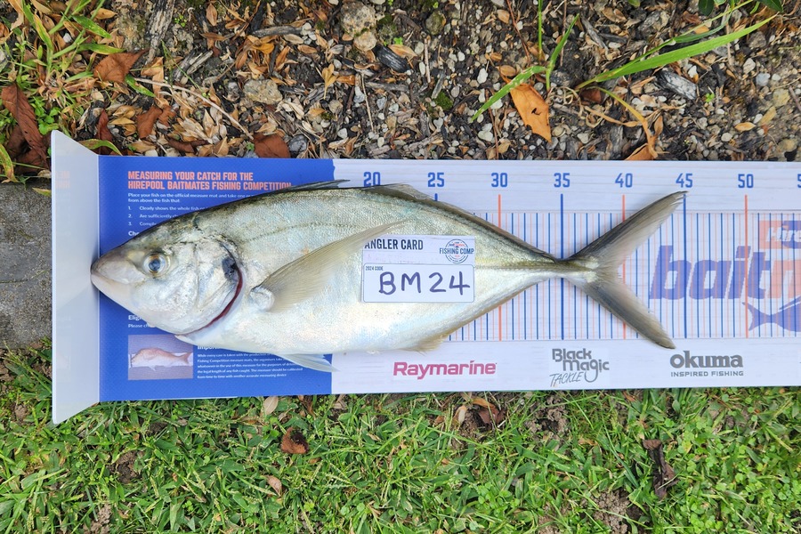 Cameron Spiers caught this 39.5cm Trevally at Bay of Plenty during The Hirepool Baitmates Fishing Comp