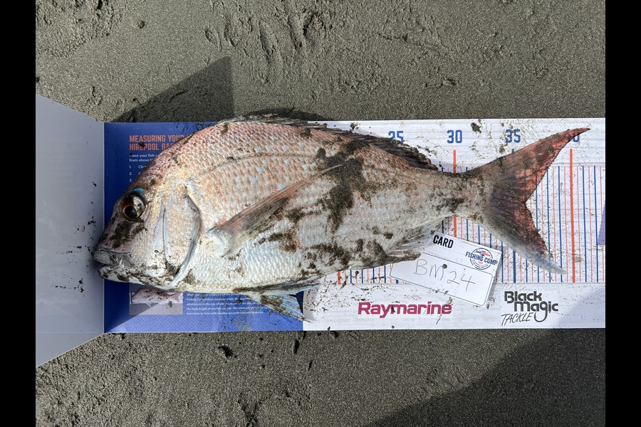 Michael Meads caught this 36.0cm Snapper at Manawatu during The Hirepool Baitmates Fishing Comp