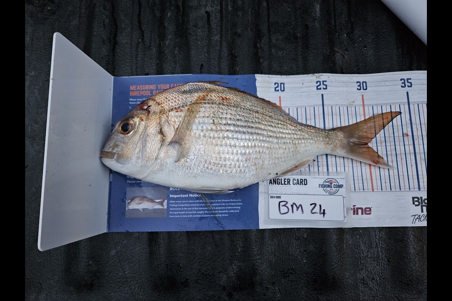 Andre Zowitzkey caught this 30.0cm Snapper at Northland during The Hirepool Baitmates Fishing Comp