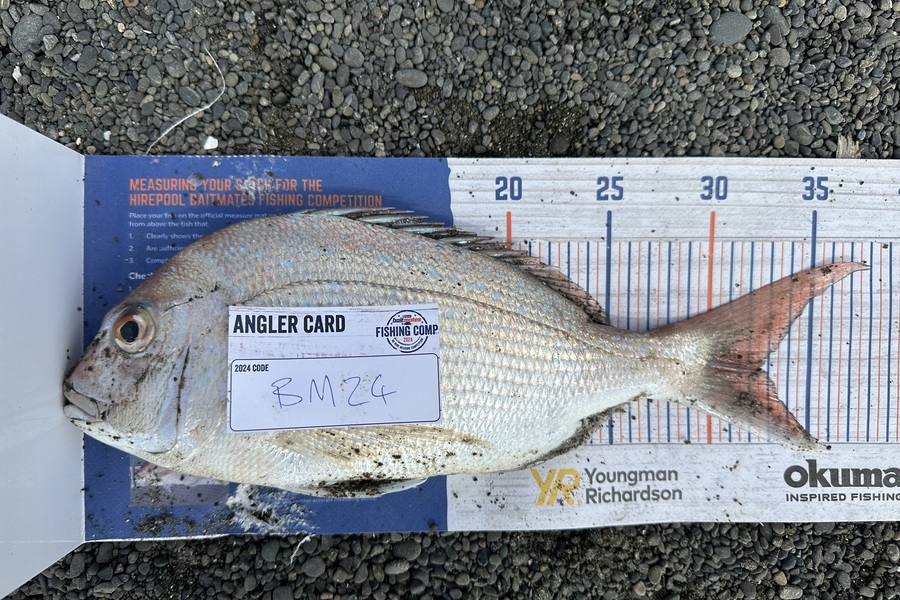 Braxton Kitching caught this 32.5cm Snapper at Hawkes Bay during The Hirepool Baitmates Fishing Comp