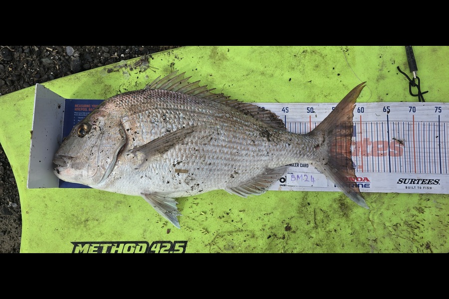 Rochelle Dunn caught this 58.0cm Snapper at Northland during The Hirepool Baitmates Fishing Comp