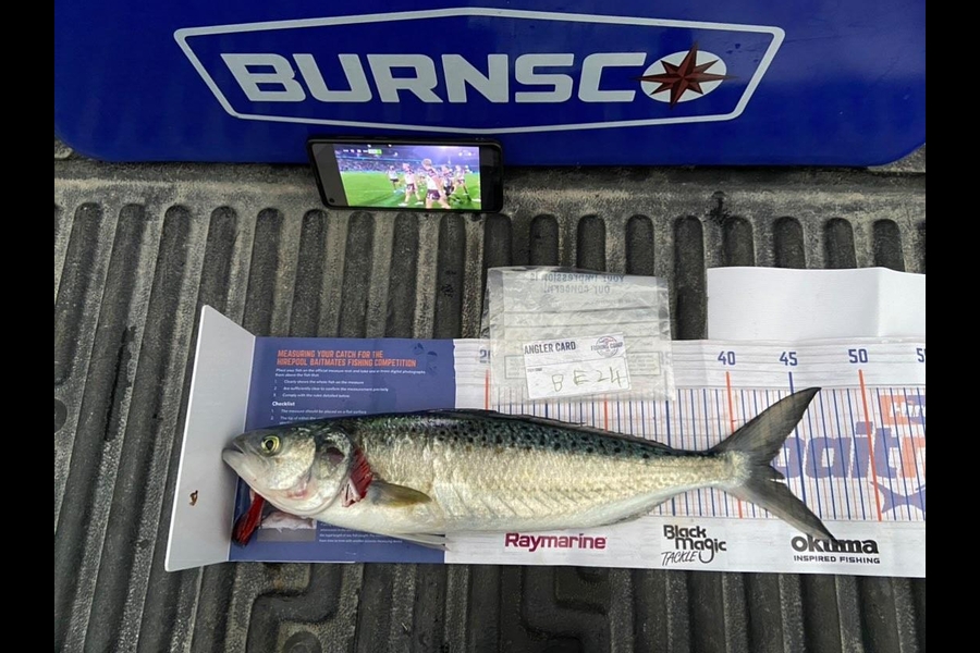 Thomas Heard caught this 42.5cm Kahawai at Northland during The Hirepool Baitmates Fishing Comp