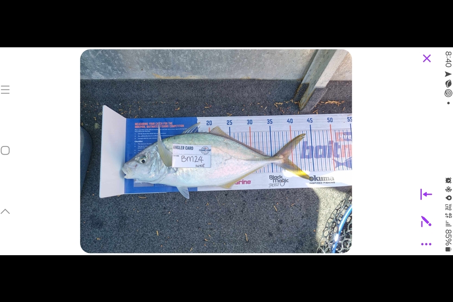 luke Curtis caught this 39.0cm Trevally at Bay of Plenty during The Hirepool Baitmates Fishing Comp