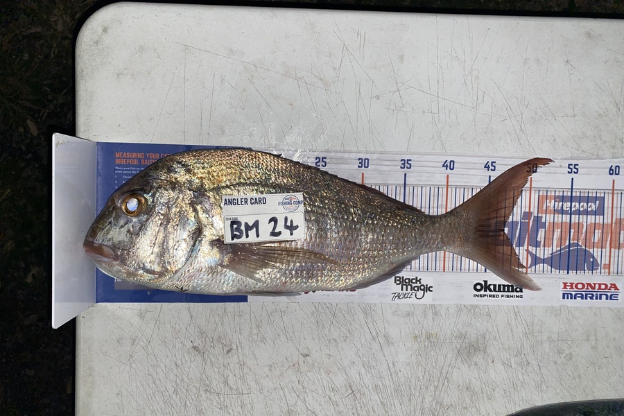 Tyra Morphett caught this 47.0cm Snapper at Northland during The Hirepool Baitmates Fishing Comp