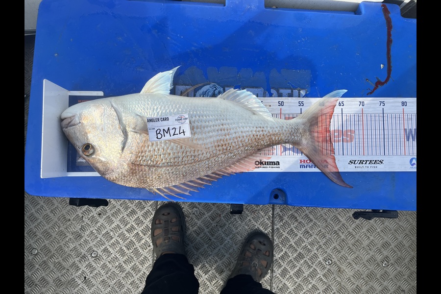 Dillon Ratima caught this 61.5cm Snapper at Coromandel during The Hirepool Baitmates Fishing Comp