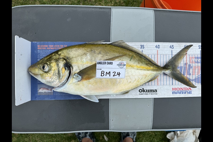 Cain Manley caught this 46.5cm Trevally at Bay of Plenty during The Hirepool Baitmates Fishing Comp