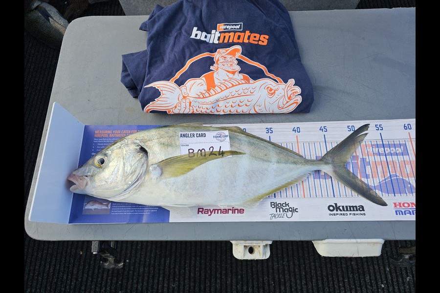 Frank van Vroonhoven caught this 47.5cm Trevally at Bay of Plenty during The Hirepool Baitmates Fishing Comp