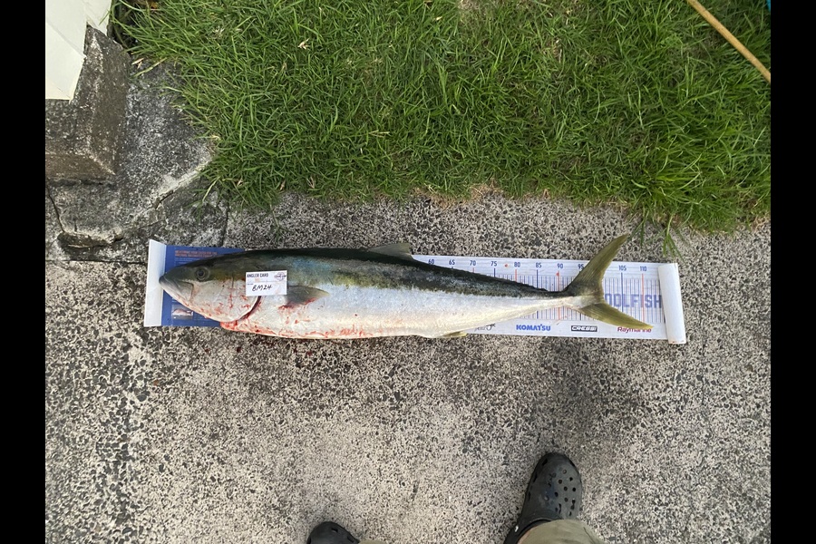 Tony Flowers caught this 99.0cm Kingfish at Coromandel during The Hirepool Baitmates Fishing Comp