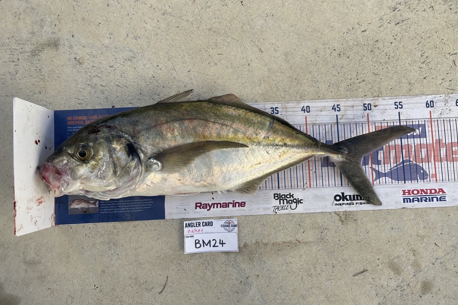 Asher Russell caught this 46cm Trevally at Northland during The Hirepool Baitmates Fishing Comp