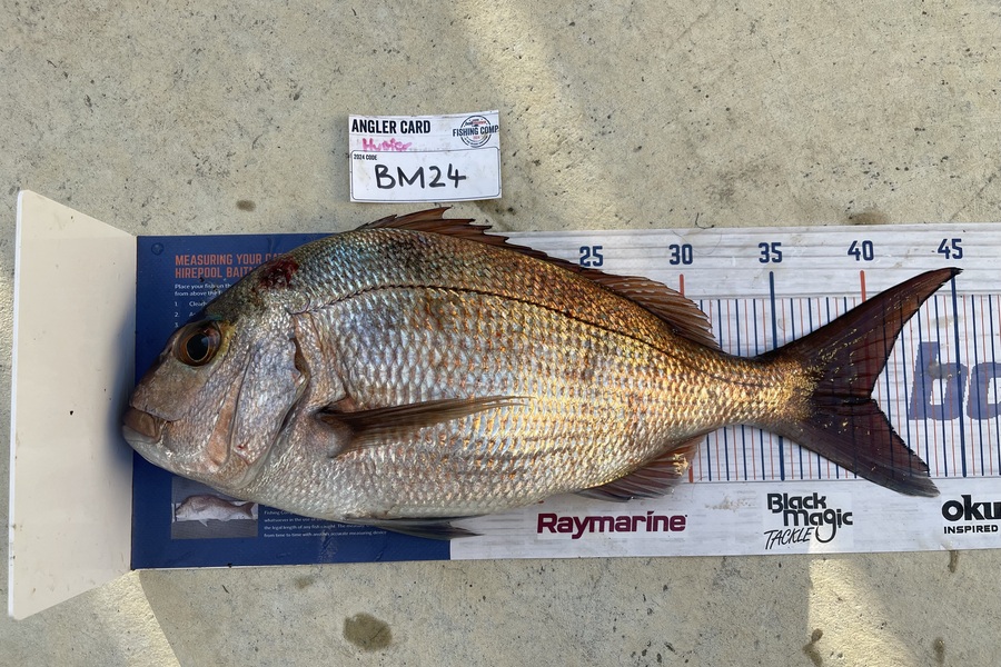 Hunter Russell caught this 40.0cm Snapper at Northland during The Hirepool Baitmates Fishing Comp