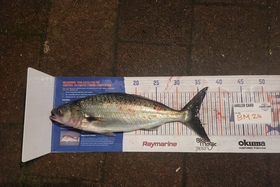 Laura-jade Pitcher caught this 34.5cm Kahawai at Coromandel during The Hirepool Baitmates Fishing Comp