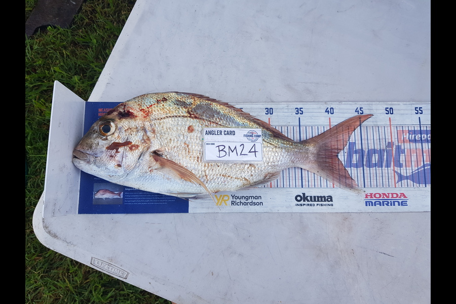 Cullim McVeigh caught this 41.0cm Snapper at Bay of Plenty during The Hirepool Baitmates Fishing Comp