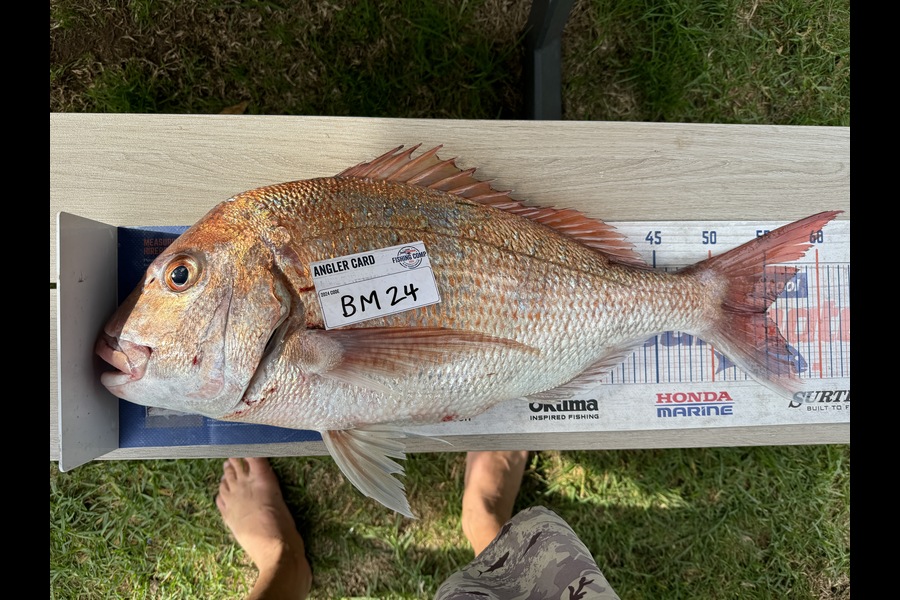 Cain Manley caught this 55.0cm Snapper at Bay of Plenty during The Hirepool Baitmates Fishing Comp