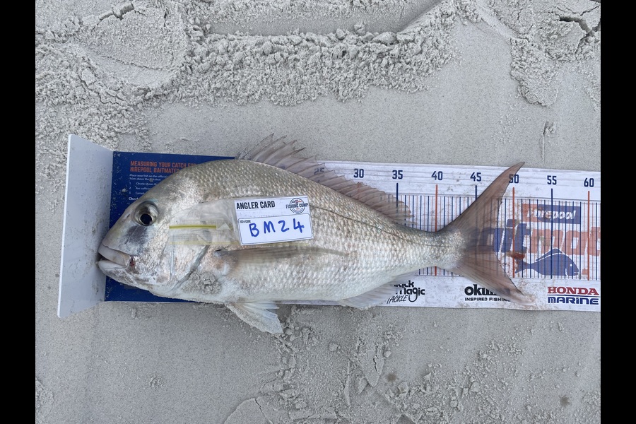 Tony Flay caught this 47.5cm Snapper at Northland during The Hirepool Baitmates Fishing Comp
