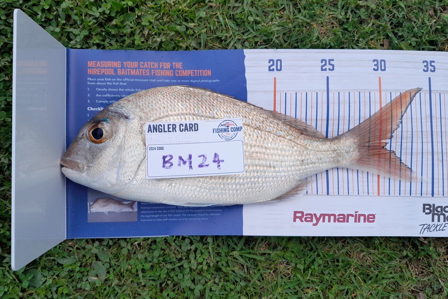 Josh Muller caught this 30.0cm Snapper at Coromandel during The Hirepool Baitmates Fishing Comp