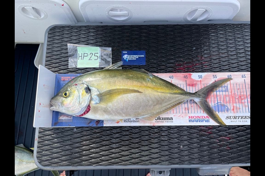 Gareth  Nicholson  caught this 51.5cm Trevally at Nelson/Marlborough during The Hirepool Baitmates Fishing Comp