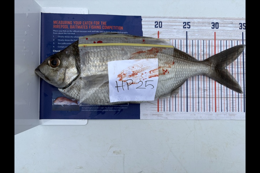 Tanya Canning caught this 31.5cm Tarakihi at Manawatu during The Hirepool Baitmates Fishing Comp