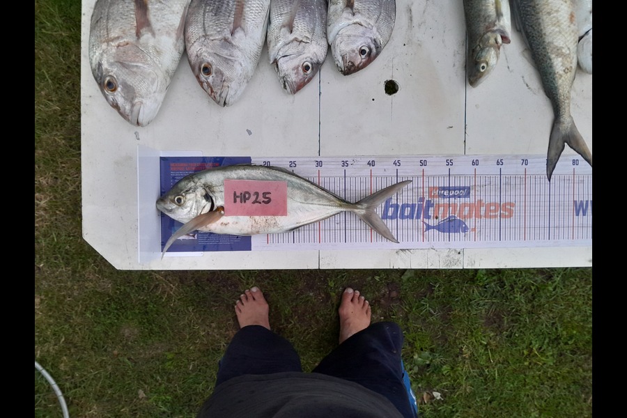 Martin  smith caught this 40.5cm Trevally at Bay of Plenty during The Hirepool Baitmates Fishing Comp