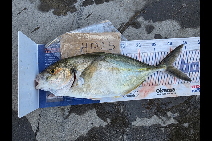 James Hutchen caught this 40.0cm Trevally at Wairarapa
 during The Hirepool Baitmates Fishing Comp