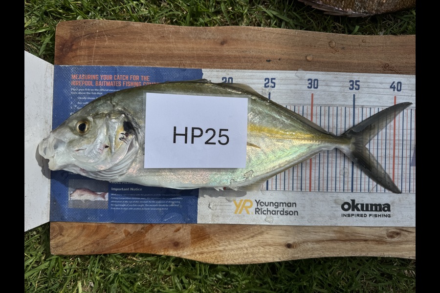 Cain Manley caught this 36cm Trevally at Bay of Plenty during The Hirepool Baitmates Fishing Comp