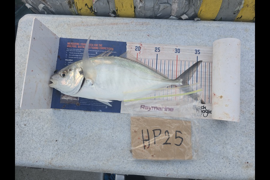 Frazer Hope caught this 32.5cm Trevally at Bay of Plenty during The Hirepool Baitmates Fishing Comp