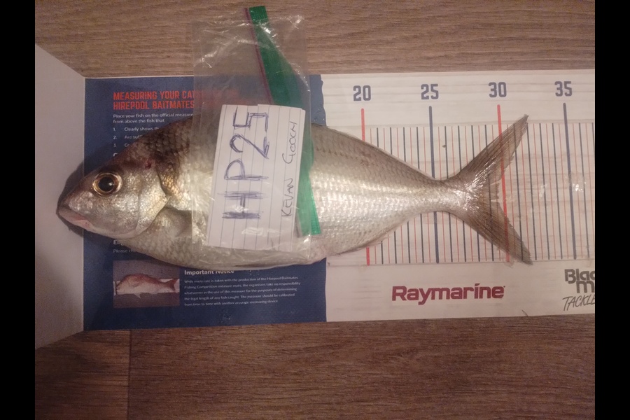 Kevan Gooch caught this 29.5cm Snapper at Wellington during The Hirepool Baitmates Fishing Comp