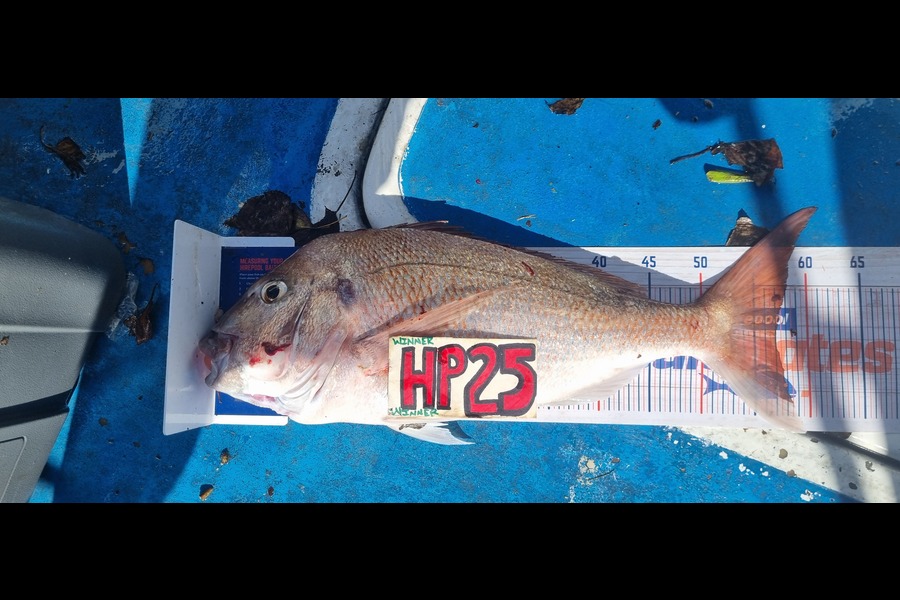 Greg Russell caught this 57.0cm Snapper at Taranaki during The Hirepool Baitmates Fishing Comp